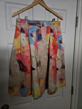 Multicolor A-Line Women's Skirt